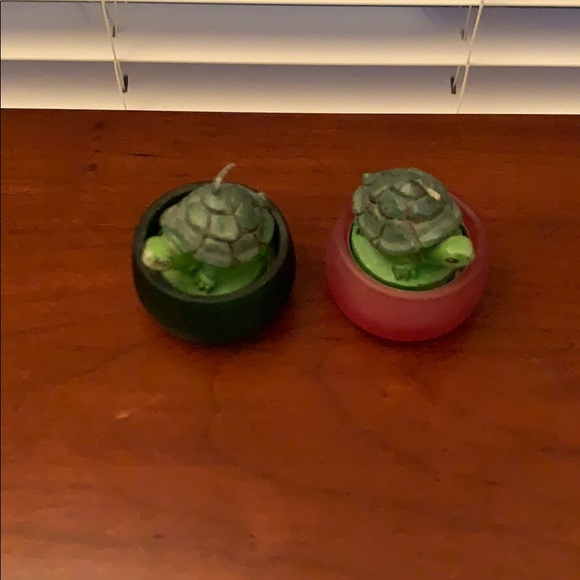 🔥5/$12 🎁Turtle tea light candles - Picture 4 of 5
